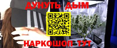 сатива Кулебаки