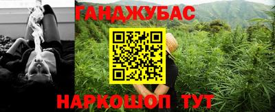 сатива Кулебаки