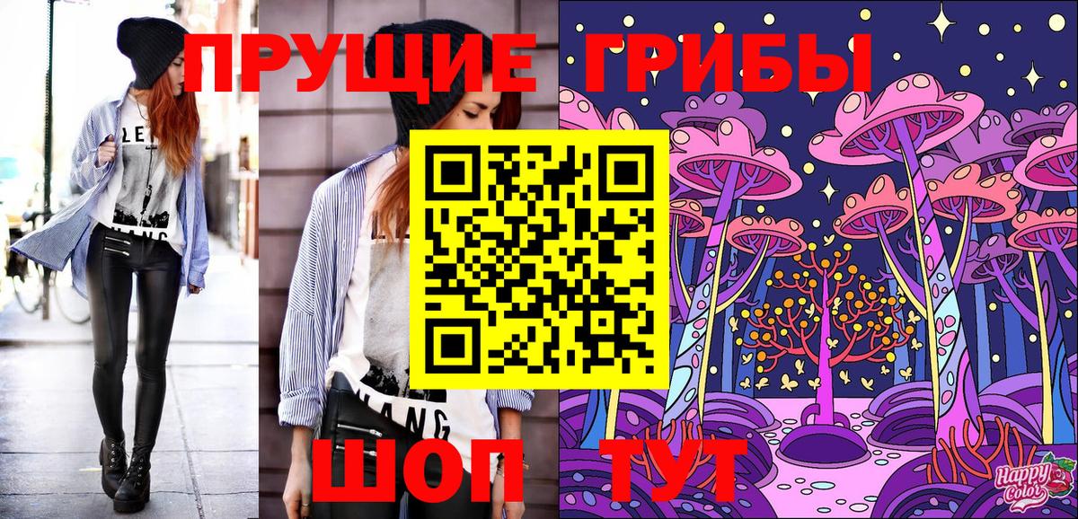 Калач-на-Дону  Псилоцибиновые грибы Cubensis  Вход с VPN  Псилоцибиновые грибы мицелий 